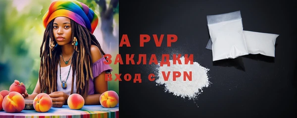 крисы Баксан