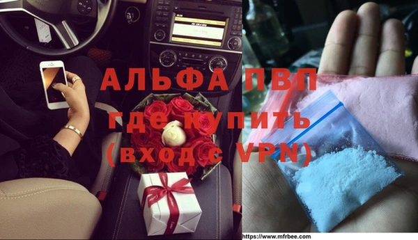 крисы Баксан