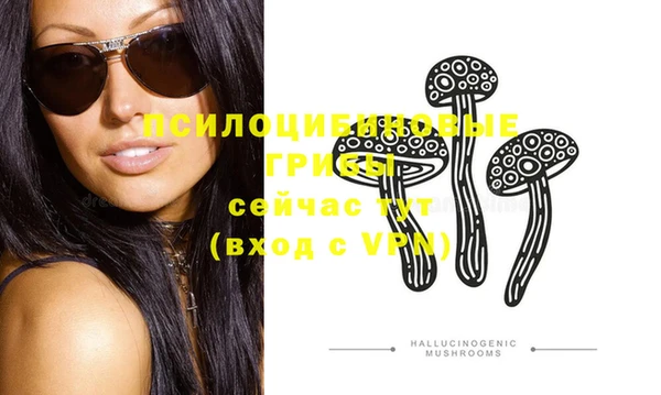 крисы Баксан