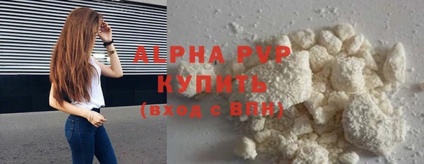 крисы Баксан