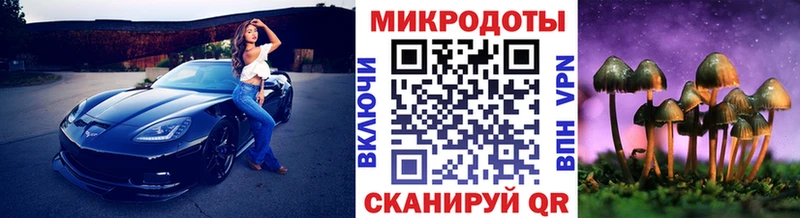 blacksprut ссылка  Онега  Псилоцибиновые грибы MAGIC MUSHROOMS 